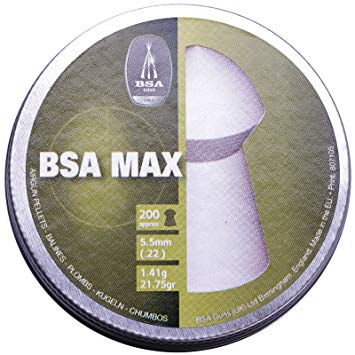 BSA Max .22 (5.5mm)