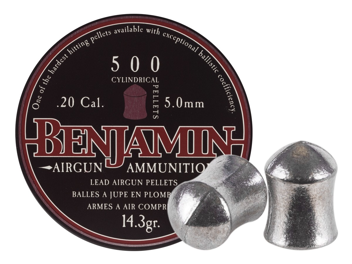 Benjamin Airguns Cylindrical .20 (5mm)